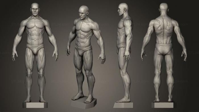Figurines heroes, monsters and demons (Male Anatomy Study, STKM_0269) 3D models for cnc